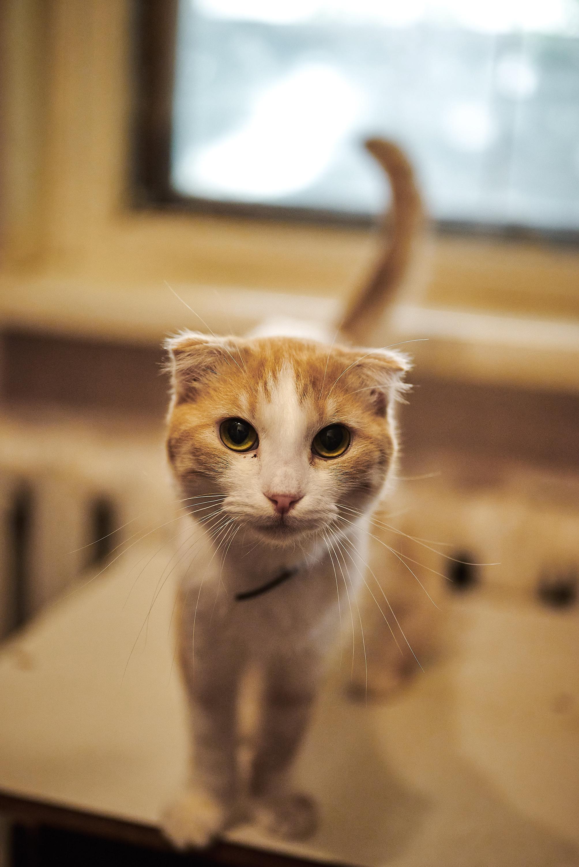 Маруся