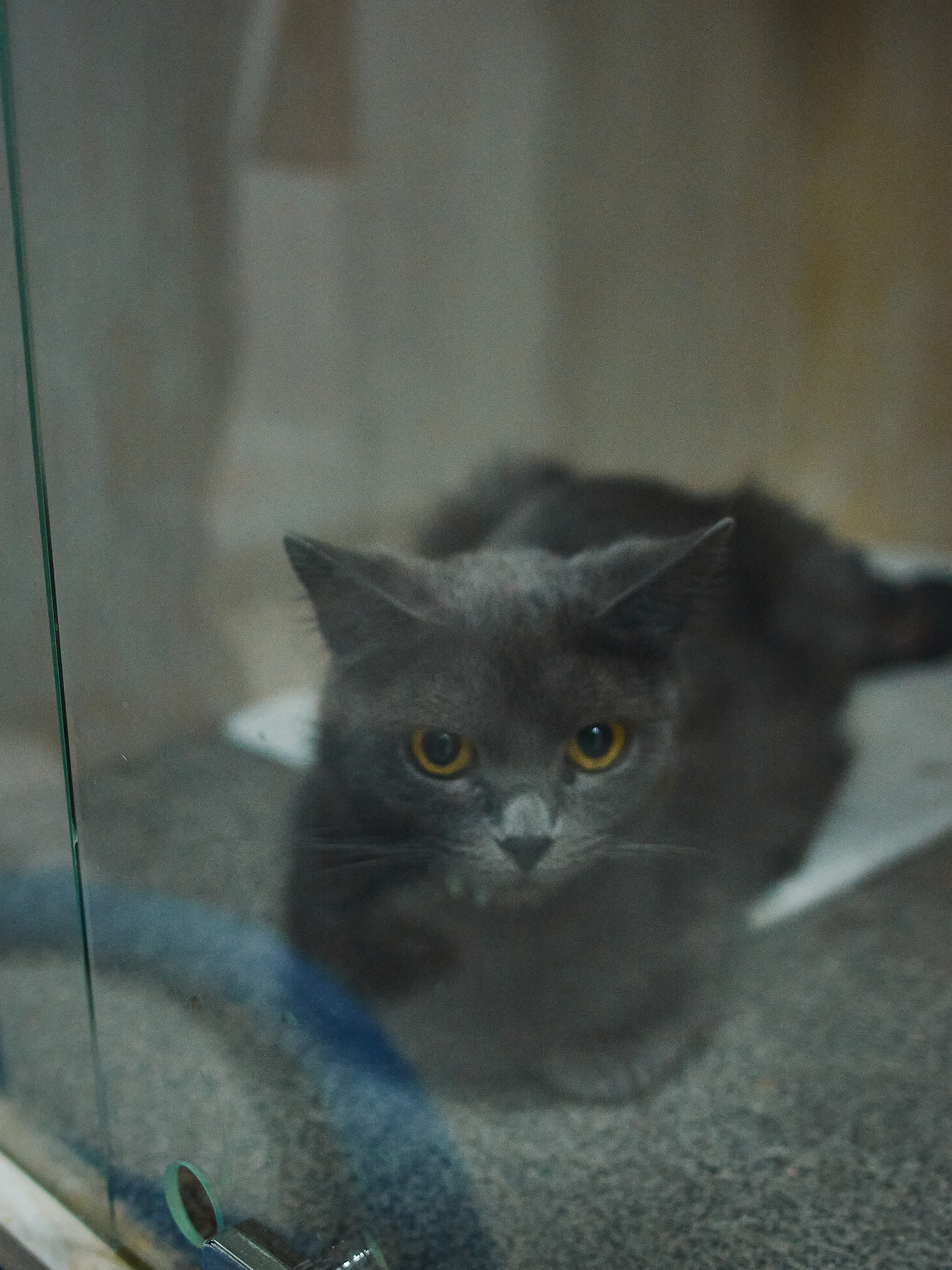 Скалолаз