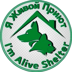 I am alive shelter