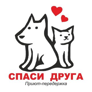 Спаси друга